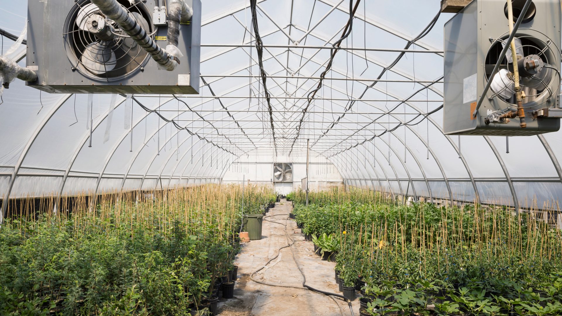NDIR gas sensors used for CO₂ monitoring in commercial greenhouse environments