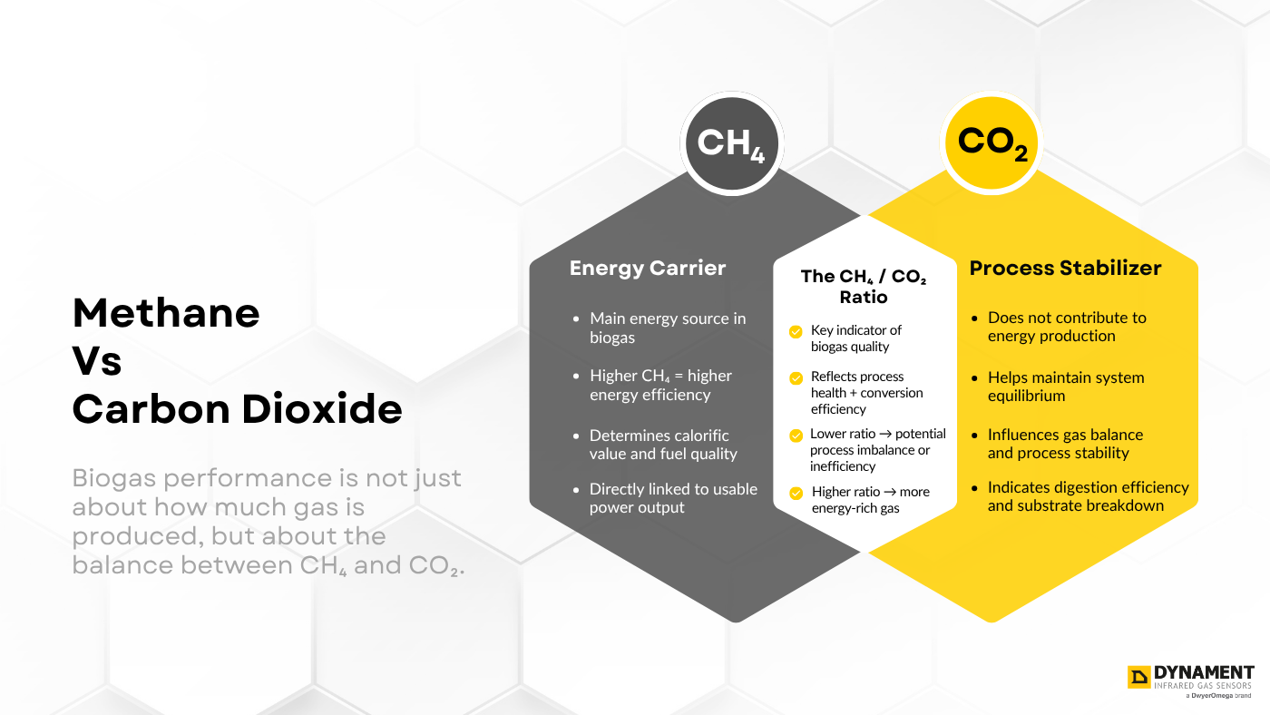 Infographic comparing methane (CH₄) and carbon dioxide (CO₂) in biogas production, highlighting the CH₄/CO₂ ratio as a key indicator of biogas quality and process stability.