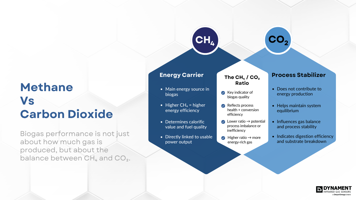 Infographic comparing methane (CH₄) and carbon dioxide (CO₂) in biogas production, highlighting the CH₄/CO₂ ratio as a key indicator of biogas quality and process stability.